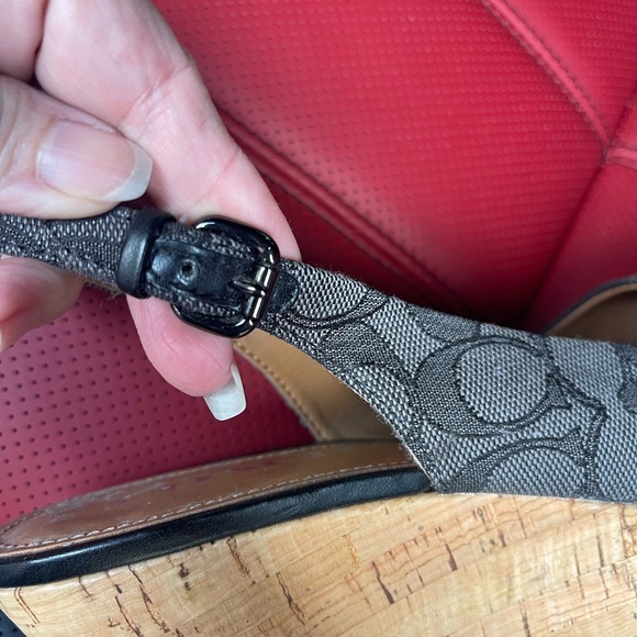 Coach - Picture 6 of 8